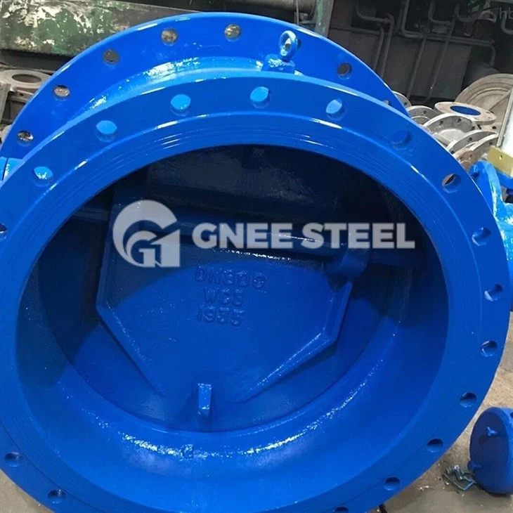 butterfly type check valve