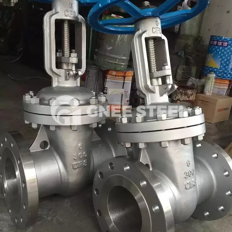 Válvula de compuerta de acero fundido